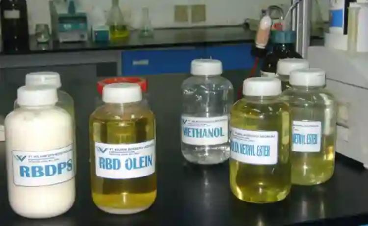 Hilirisasi Dibutuhkan untuk Mengangkat Harga TBS dan Daya Saing Sawit