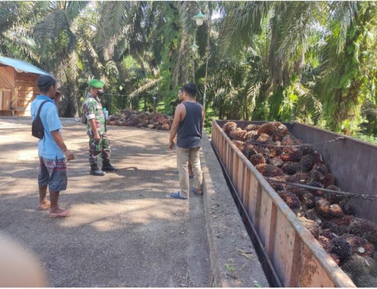 Ketergantungan pada Tengkulak Harus Diakhiri, Petani Inhu Diminta Lakukan ini
