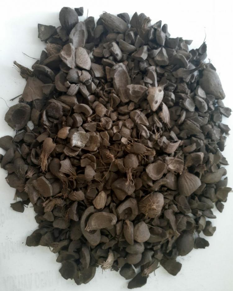 Perusahaan Sawit Keberatan Cangkang Dimasukkan dalam Perhitungan Harga TBS