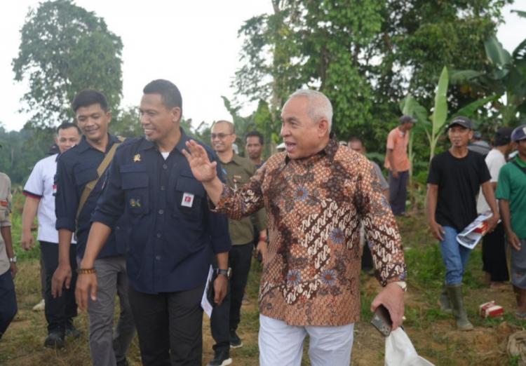 Tim Setmilpres dan Kementan Datangi Kebun Sawit Rakyat di Kaltim, Ada Apa?