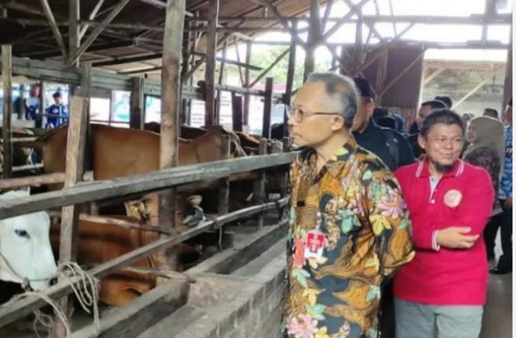 Sukses Kembangkan Perkebunan dan Peternakan, Desa ini Bisa Jadi Percontohan di Sumatera
