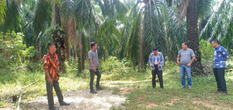 PTPN V Akui Garap Hutan Lindung Bukit Suligi