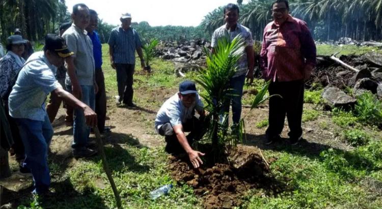 Sumut Dapat Jatah PSR Seluas 12.700 Hektare, ini Rinciannya