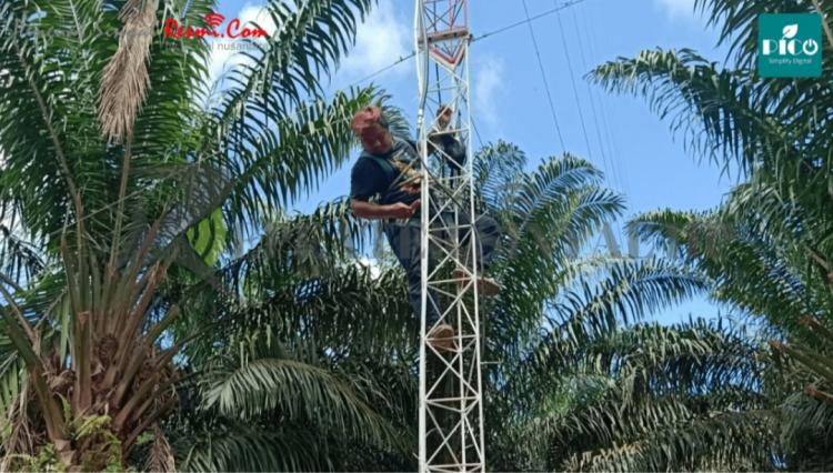 Hambat Transaksi, Petani Sawit di Bengkulu Keluhkan Blank Spot 