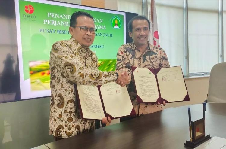 Produktivitas Sawit di Lamandau akan Dihitung Menggunakan Remote Sensing