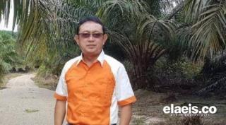 Gapki Minta Menko Marves Paparkan Temuan Jutaan Hektar Kebun Sawit Tak Bayar Pajak