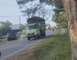 Pemilik Peron Akui Sengaja Lebihkan Muatan Truk TBS