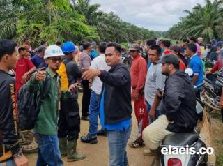 Ratusan Masyarakat di Pelalawan Turun ke Lapangan, Desak Korporasi Soal Pembagian Lahan Sawit