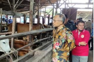 Sukses Kembangkan Perkebunan dan Peternakan, Desa ini Bisa Jadi Percontohan di Sumatera