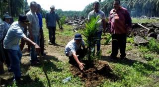 Sumut Dapat Jatah PSR Seluas 12.700 Hektare, ini Rinciannya