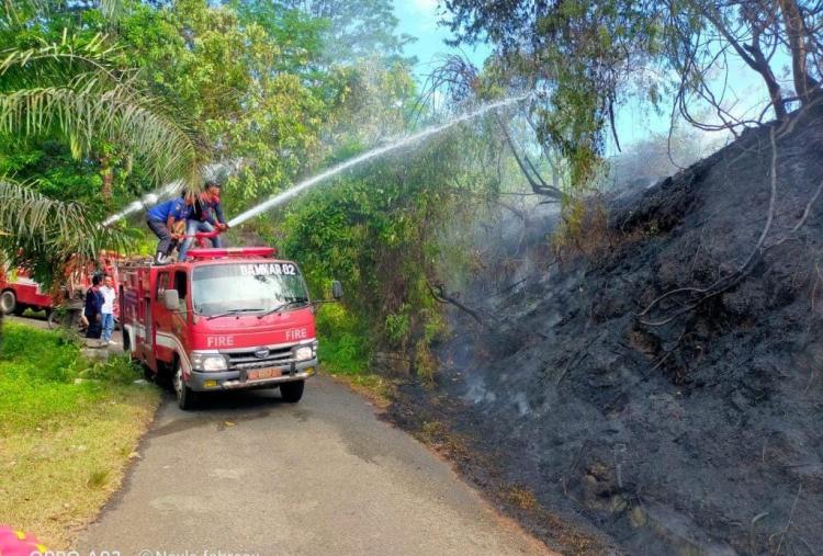 Kemarau, Petani Sawit Kembali Diingatkan Jangan Gunakan Api di Kebun