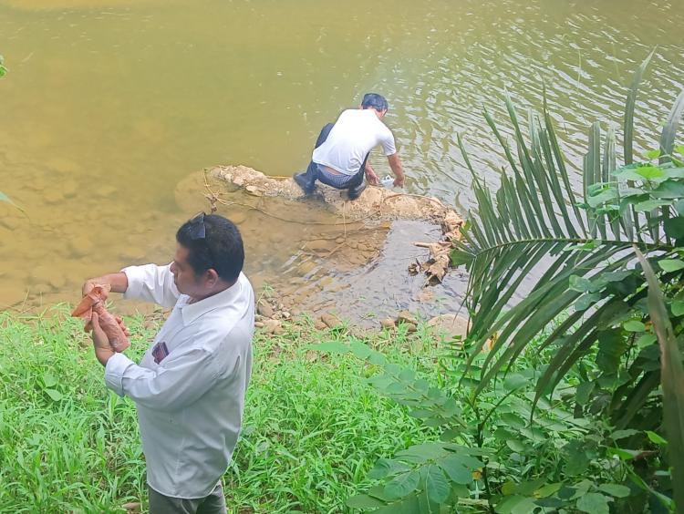 PT BSL Bantah Kematian Ribuan Ikan di Sungai Akibat Limbahnya