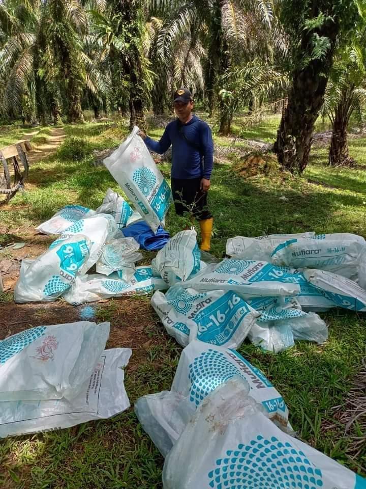 Pupuk Masih Mahal, Petani Sawit Khawatirkan Keberlanjutan Usaha