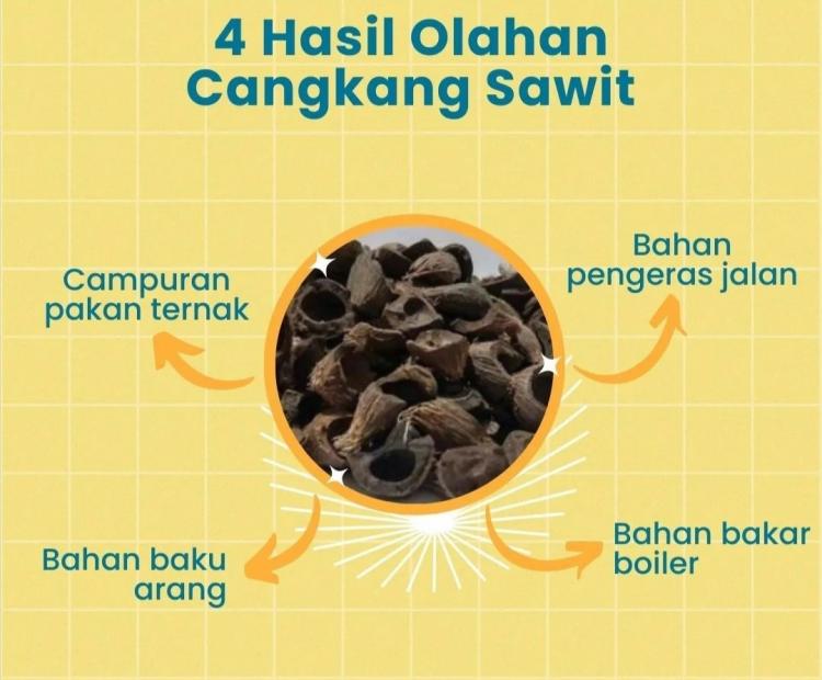 Tersedia 30 Ribu MT Cangkang Sawit Non Screening di Bengkulu, Ada yang Berminat?