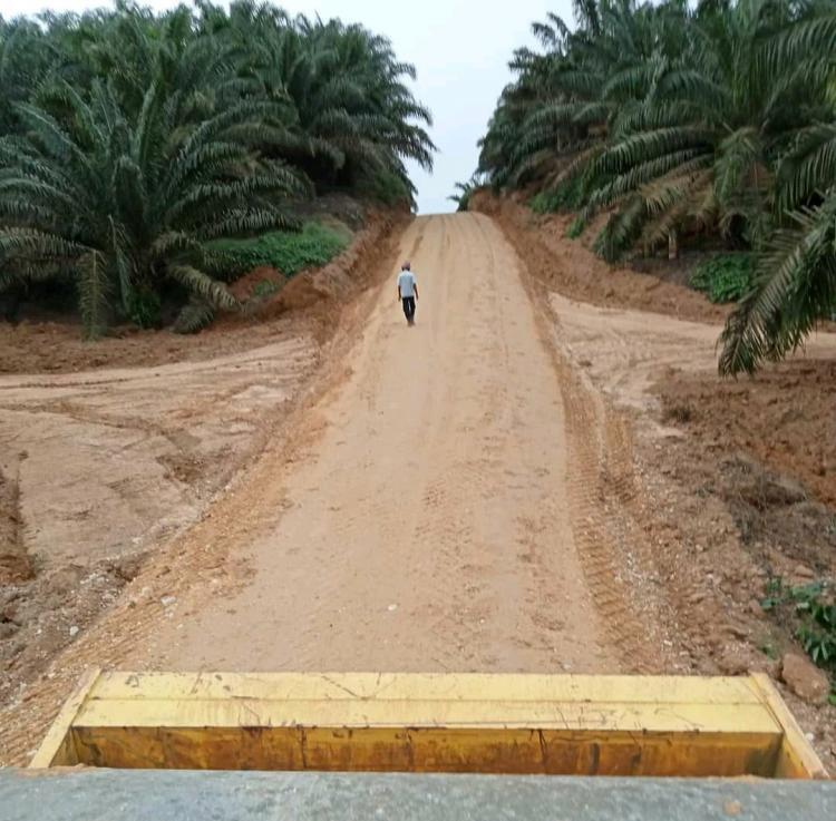 Dua Poktan Dapat Bantuan Sarpras dari BPDPKS, 13 Lainnya Sudah Ajukan Usulan