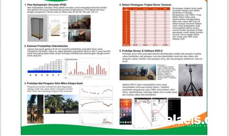 Pakai Alat ini, Mengurusi Tanaman Sawit di Lahan Gambut Menjadi Mudah