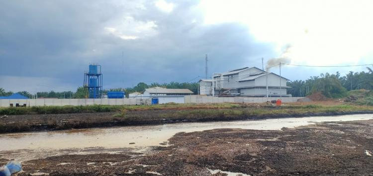 Masih Beroperasi, DLH Rohul Didesak Tegas pada PT SSM