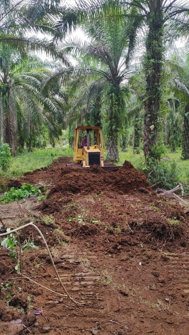 Desa di Bengkulu Bangun JUT di Kebun Sawit Pakai Dana Desa