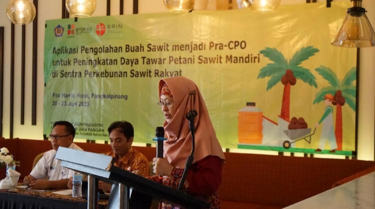 BRIN dan BPDPKS Latih Petani Olah Sendiri Buah Sawit Jadi CPO
