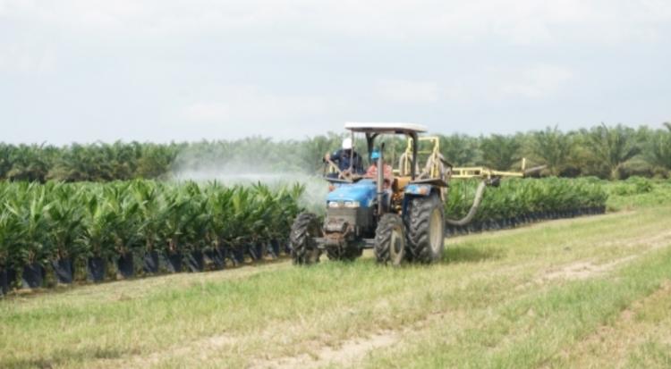 Prodi TMP IPB University, Pilihan Calon Planter yang Ingin Kuliah dengan Beasiswa Penuh