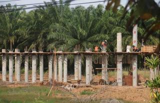 Proyek Jembatan Layang Potong Perkebunan Sawit Masyarakat