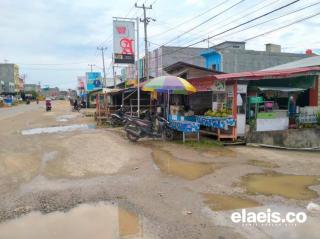 Pedagang Merasakan Imbas Harga TBS Kelapa Sawit Turun 
