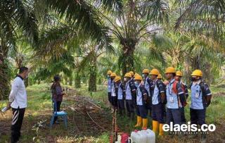 Sudah 2.084 Peserta Lulus Seleksi Administrasi Beasiswa Sawit