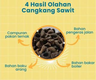 Tersedia 30 Ribu MT Cangkang Sawit Non Screening di Bengkulu, Ada yang Berminat?