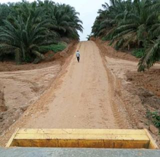 Dua Poktan Dapat Bantuan Sarpras dari BPDPKS, 13 Lainnya Sudah Ajukan Usulan