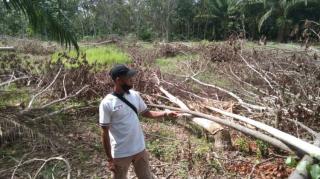 Petani Ini Sudah Lama 