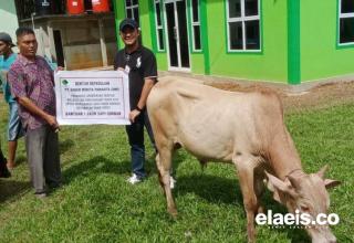 Perusahaan Sawit PT SWP Beri 4 Hewan Kurban di Lebaran Haji 2023