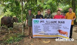PT Musim Mas Bantu Hewan Kurban untuk 10 Desa & 2 Kelurahan, Manajemen: Ini Rutinitas Tahunan
