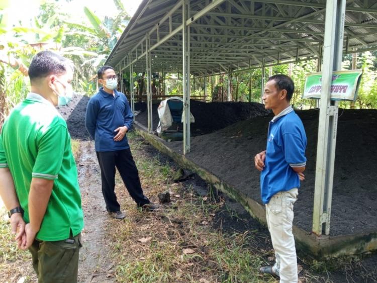 Kompos dari Janjang Kosong Sawit Diminati Petani, ini Sebabnya