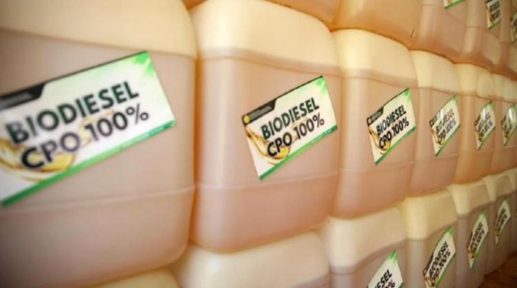 Bengkulu Berharap Punya Pabrik Biodiesel Agar Tak Tergantung Ekspor CPO