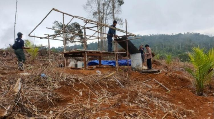 Gara-gara Kebun Sawit, Kades ini Terancam Penjara 5 Tahun dan Denda Rp 7,5 Milyar
