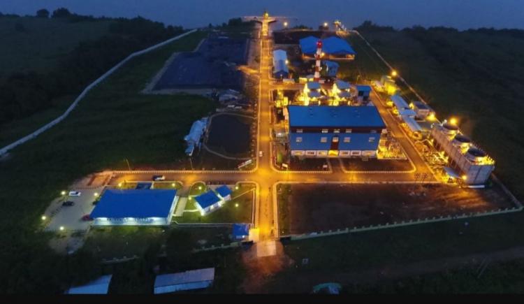 40 PLTU PLN Lakukan Co-Firing Biomassa, Segini Emisi CO2 yang Bisa Dikurangi