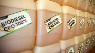 Bengkulu Berharap Punya Pabrik Biodiesel Agar Tak Tergantung Ekspor CPO