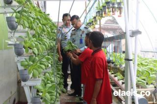 Sipir Rutan IIB Rengat Berhasil Bina Warga  Binaan Budidaya Tanaman Hidroponik 