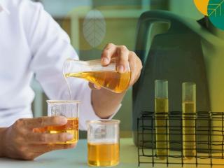 Perkembangan Mutakhir Industri Sawit Indonesia: Peranan Minyak Sawit di Industri Biodiesel Kian Penting