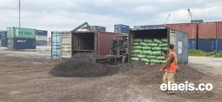 DLHK Bengkulu: Cangkang Sawit Bisa Gantikan Kayu Bakar