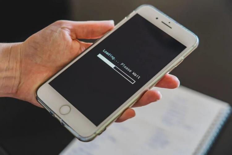 Wakil Rakyat Ini Sebut 78 Desa Sentra Kelapa Sawit di Bengkulu Belum Nikmati Internet 