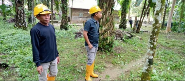 Ribuan Petani Sawit Aceh Bakal Kantongi Sertifikat Ganda, ISPO dan RSPO