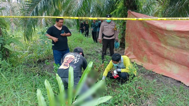 Wanita di Rohil Ditemukan Tewas dalam Kebun Sawit, Ternyata Dibuhuh Mantan Suami