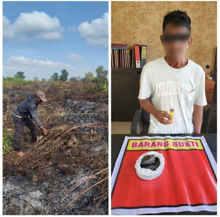 Batal Buka Kebun Sawit 7 Hektar, Pria ini Malah Terancam 15 Tahun Penjara