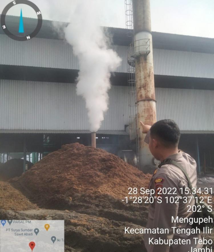 Harga TBS di Jambi Akhirnya Naik, Simak Daftarnya﻿