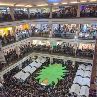 Tiga Hari Sawit Menggema di Ambarrukmo