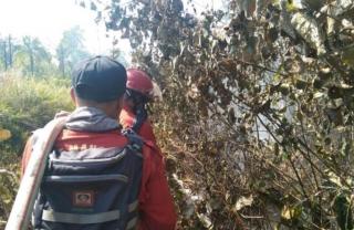 Mulai Marak, Kebun Sawit Warga Paling Banyak Terbakar di Kayong Utara