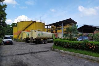 Perkembangan Mutakhir Industri Sawit Indonesia: Berkontribusi dalam Penyediaan Energi Global