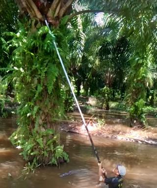 Sapuan Tetap Manen di Tengah Banjir