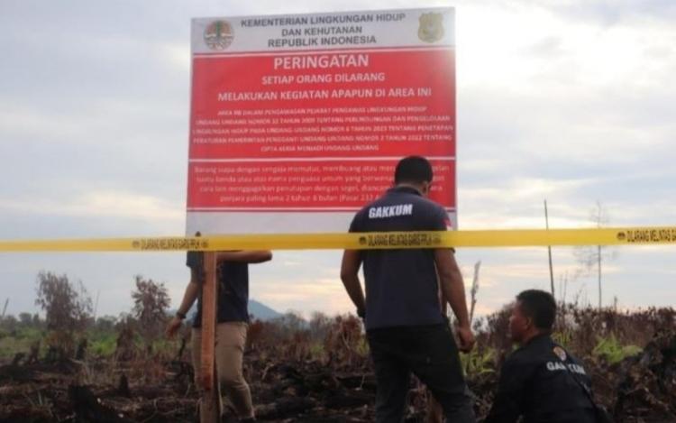 Terbakar, Lahan Perusahaan Sawit dan HTI di Kalbar Disegel Gakkum KLHK